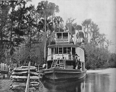 On the Ocklawaha River, Florida, c1897 by Unbekannt