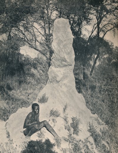 One of the Giant Ant Heaps peculiar to some districts of South Africa by Unbekannt