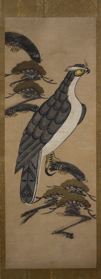 Otsu-e of Falcon on a Pine Tree, 18th century by Unbekannt