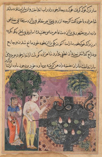 Page from Tales of a Parrot Tuti-nama: Eighteenth night: The prince, c. 1560 by Unbekannt