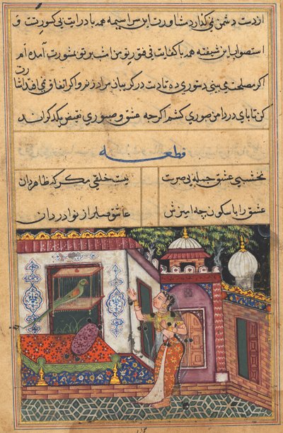 Page from Tales of a Parrot Tuti-nama: Eleventh night: The parrot addresses Khujasta..., c. 1560 by Unbekannt