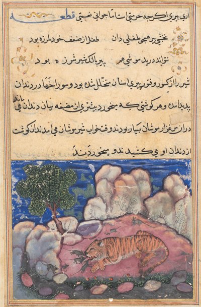 Page from Tales of a Parrot Tuti-nama: Fifteenth night: The lion disturbed by mice, 1558-1560 by Unbekannt