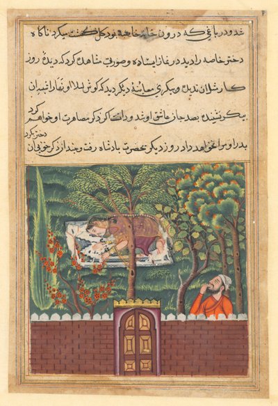 Page from Tales of a Parrot Tuti-nama: Fifty-first night: Khulasa, a vizier, sees..., c1560 by Unbekannt