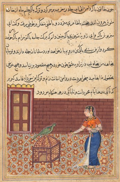 Page from Tales of a Parrot Tuti-nama: Fifty-first Night: The Parrot Addresses Khujasta by Unbekannt