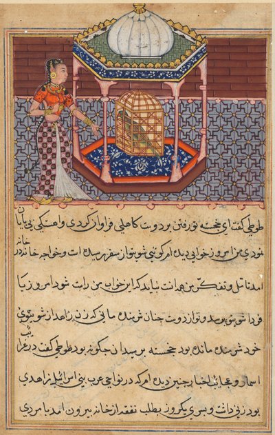 Page from Tales of a Parrot Tuti-nama: Fifty-Second Night: The Parrot Addresses Khujasta by Unbekannt