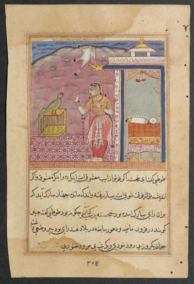 Page from Tales of a Parrot Tuti-nama: Forty-fourth Night: The Parrot Addresses by Unbekannt