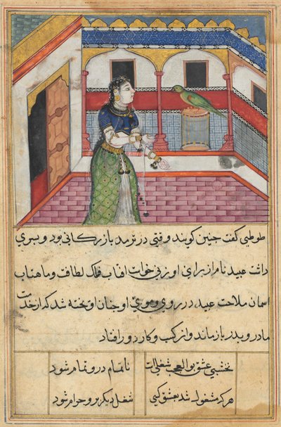 Page from Tales of a Parrot Tuti-nama: Forty-Second Night: The Parrot Addresses..., c. 1560 by Unbekannt