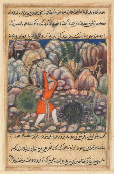 Page from Tales of a Parrot Tuti-nama: Forty-seventh Night: The Fourth Man Digs, c. 1560 by Unbekannt