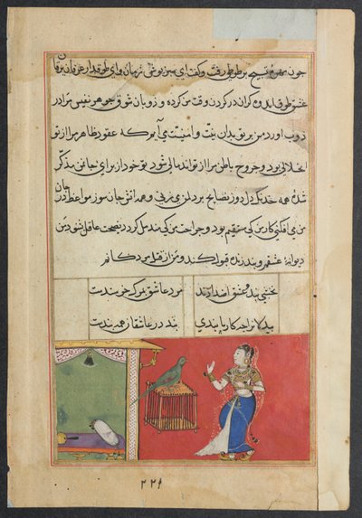 Page from Tales of a Parrot Tuti-nama: Forty-seventh Night: The Parrot Addresses Khujasta by Unbekannt