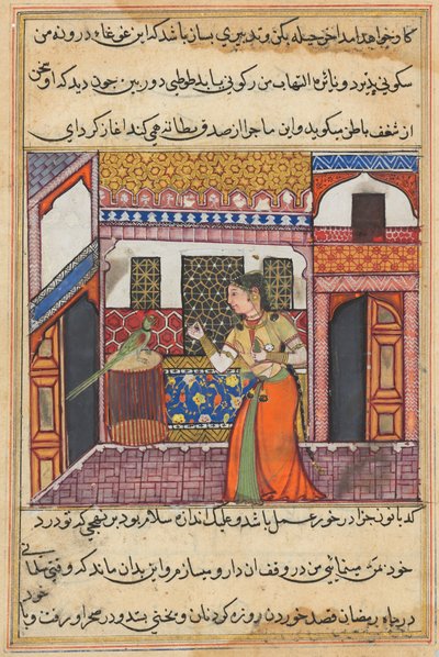 Page from Tales of a Parrot Tuti-nama: Forty-third Night: The Parrot Addresses Khujasta by Unbekannt