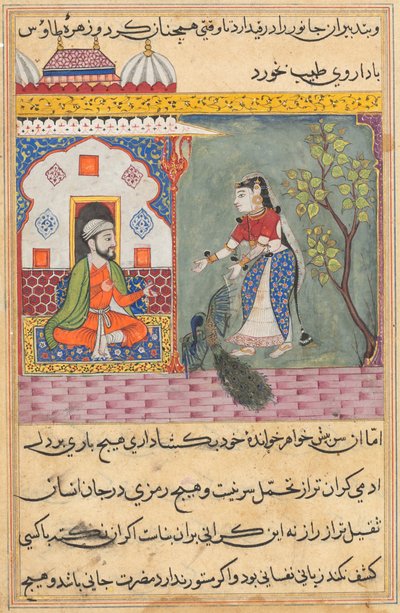 Page from Tales of a Parrot Tuti-nama: Nineteenth night: The Brahman