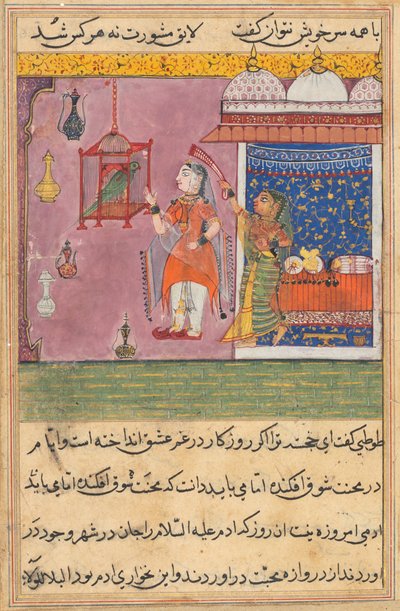 Page from Tales of a Parrot Tuti-nama: Nineteenth Night: The Parrot Addresses... by Unbekannt