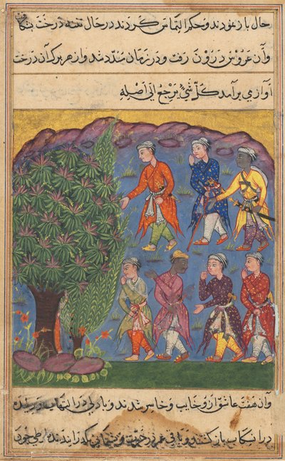 Page from Tales of a Parrot Tuti-nama: Sixth Night: Seven Men Disputing Possession by Unbekannt
