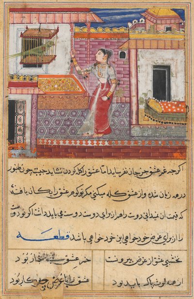 Page from Tales of a Parrot Tuti-nama: Thirteenth Night: The Parrot Addresses Khujasta by Unbekannt