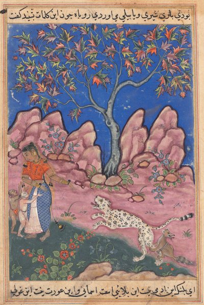 Page from Tales of a Parrot Tuti-nama: Thirtieth Night: The Woman Conversing by Unbekannt