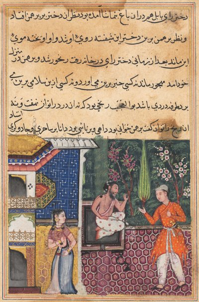 Page from Tales of a Parrot Tuti-nama: Thirty-fifth night: The Brahman gives... by Unbekannt