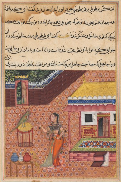 Page from Tales of a Parrot Tuti-nama: Thirty-fourth night: The parrot addresses Khujasta by Unbekannt