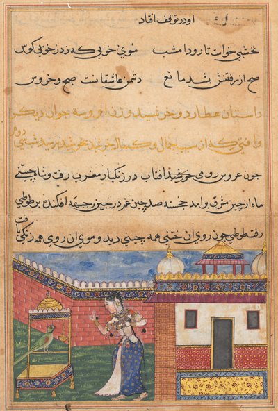 Page from Tales of a Parrot Tuti-nama: Thirty-second Night: The Parrot Addresses Khujasta by Unbekannt