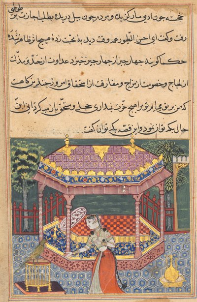Page from Tales of a Parrot Tuti-nama: Thirty-seventh Night: The Parrot Addresses Khujasta by Unbekannt