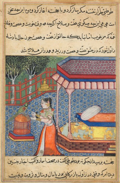 Page from Tales of a Parrot Tuti-nama: Thirty-sixth Night: The Parrot Addresses Khujasta, c. 15th Century by Unbekannt