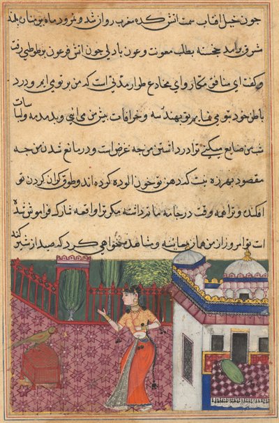 Page from Tales of a Parrot Tuti-nama: Thirty-third night: The parrot addresses Khujasta... by Unbekannt