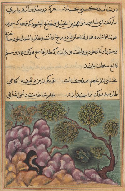 Page from Tales of a Parrot Tuti-nama: Twenty-sixth Night: The Dethroned Frog by Unbekannt