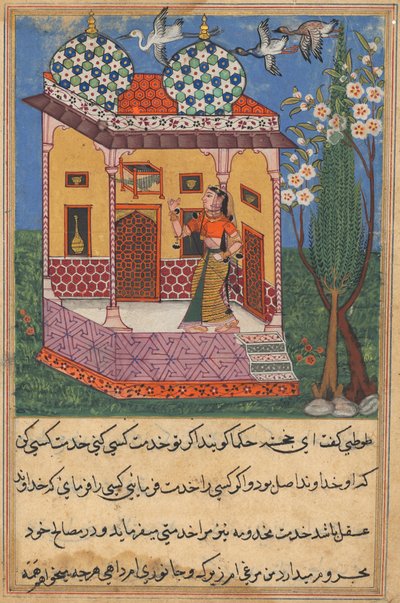 Page from Tales of a Parrot Tuti-nama: Twenty-sixth night: The parrot addresses Khujasta by Unbekannt