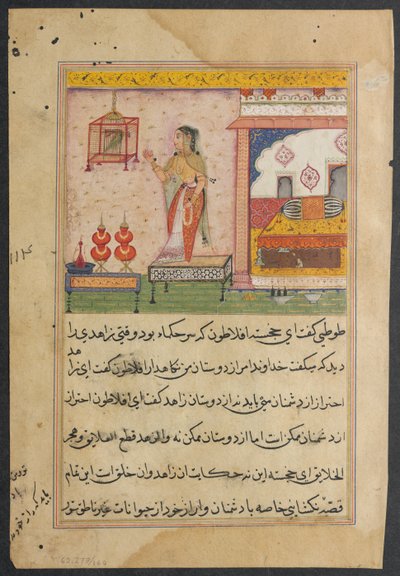 Page from Tales of a Parrot Tuti-nama: Twenty-third Night: The Parrot Addresses... by Unbekannt