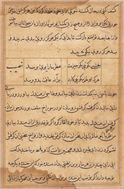 Page from Tales of a Parrot Tuti-nama: text page by Unbekannt