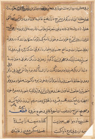 Page from Tales of a Parrot Tuti-nama: text page by Unbekannt