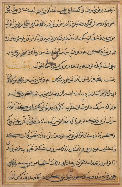Page from Tales of a Parrot Tuti-nama: text page by Unbekannt