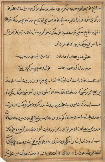 Page from Tales of a Parrot Tuti-nama: text page by Unbekannt
