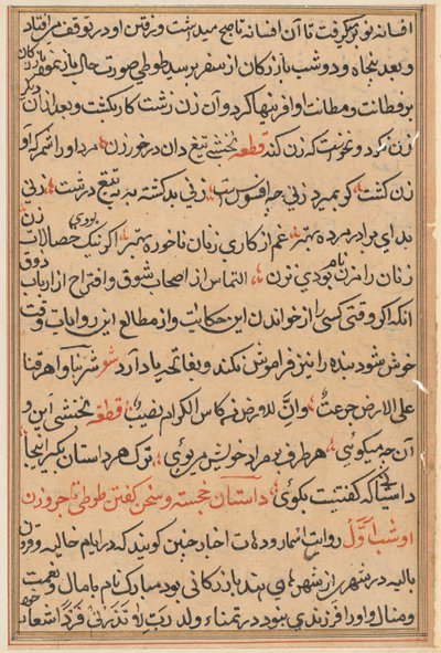 Page from Tales of a Parrot Tuti-nama: text page, c. 1560 by Unbekannt