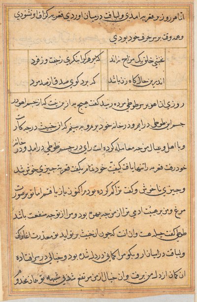 Page from Tales of a Parrot Tuti-nama: Text Page by Unbekannt