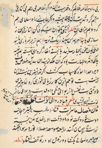 Page from Tales of a Parrot Tuti-nama: text page by Unbekannt