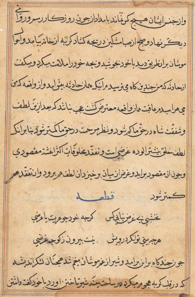 Page from Tales of a Parrot Tuti-nama: text page by Unbekannt