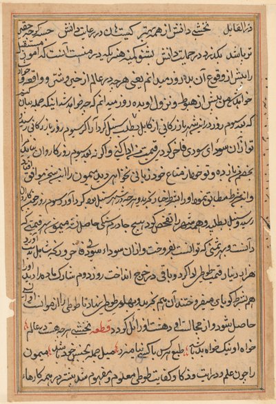 Page from Tales of a Parrot (Tuti-nama): text page, c. 1560 by Unbekannt
