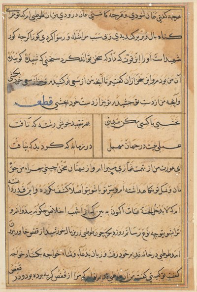 Page from Tales of a Parrot Tuti-nama: text page by Unbekannt