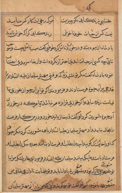 Page from Tales of a Parrot Tuti-nama: Text Page by Unbekannt