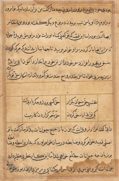 Page from Tales of a Parrot Tuti-nama: text page, c. 1560 by Unbekannt