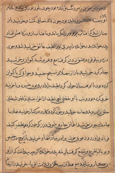Page from Tales of a Parrot Tuti-nama: text page by Unbekannt
