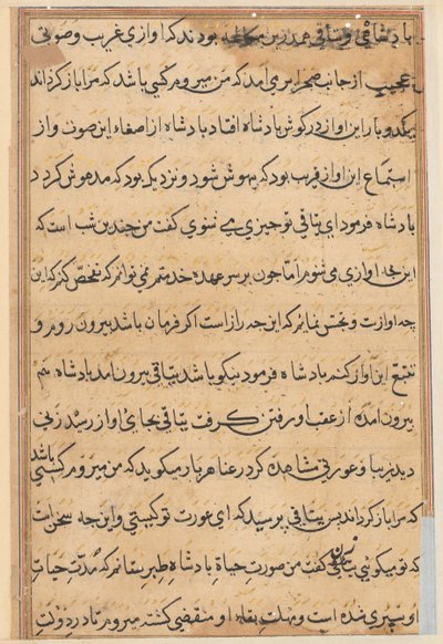 Page from Tales of a Parrot (Tuti-nama) by Unbekannt