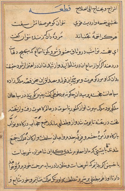 Page from Tales of a Parrot Tuti-nama: text page by Unbekannt