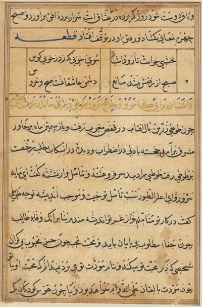 Page from Tales of a Parrot Tuti-nama: text page by Unbekannt