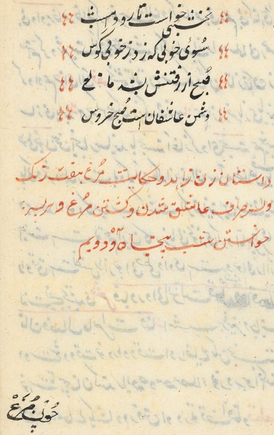 Page from Tales of a Parrot Tuti-nama: text page, c. 1560 by Unbekannt