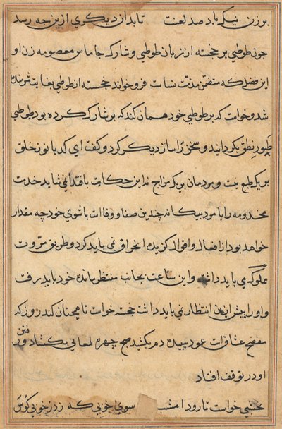 Page from Tales of a Parrot Tuti-nama: Text Page by Unbekannt