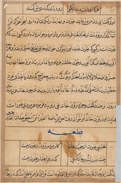 Page from Tales of a Parrot Tuti-nama: text page, c. 1560 by Unbekannt