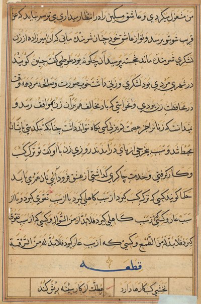 Page from Tales of a Parrot Tuti-nama: text page by Unbekannt