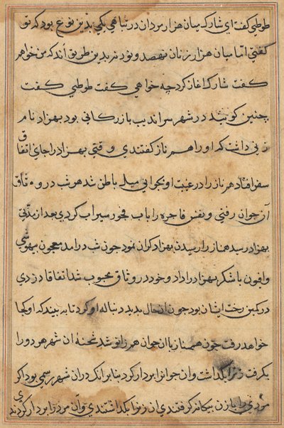 Page from Tales of a Parrot Tuti-nama: text page by Unbekannt