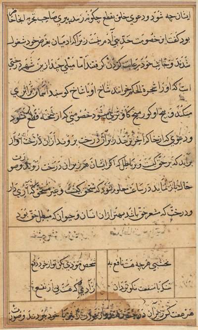 Page from Tales of a Parrot Tuti-nama: Text Page by Unbekannt